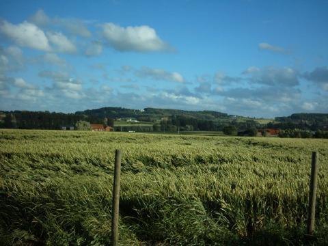 Huis Den Keibilk Heuvelland Bagian luar foto
