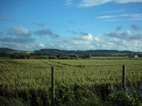 Huis Den Keibilk Heuvelland Bagian luar foto